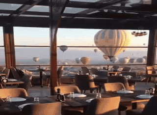 Unbelievably Cool (21 gifs)