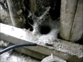 Unbelievably Cool (21 gifs)