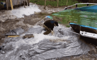 Unbelievably Cool (21 gifs)