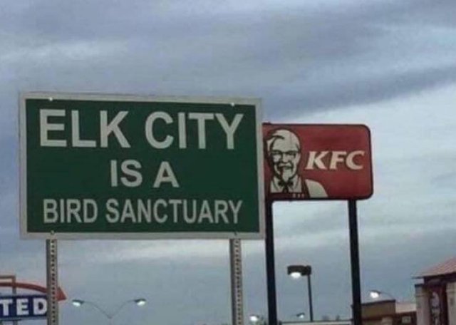 Acid Picdump. Part 2 (97 pics)