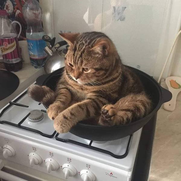 Acid Picdump. Part 2 (97 pics)