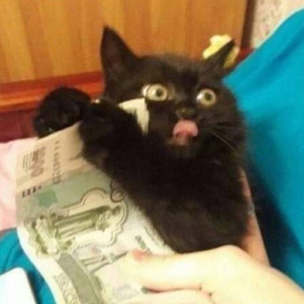Acid Picdump. Part 2 (97 pics)