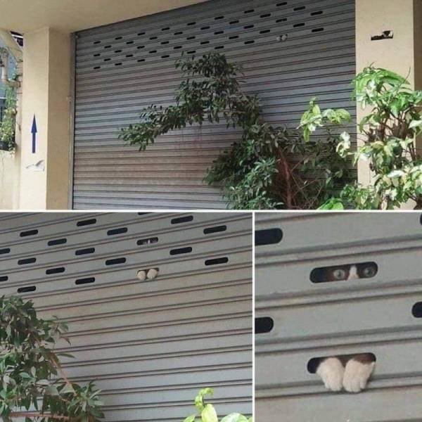 Acid Picdump. Part 2 (97 pics)