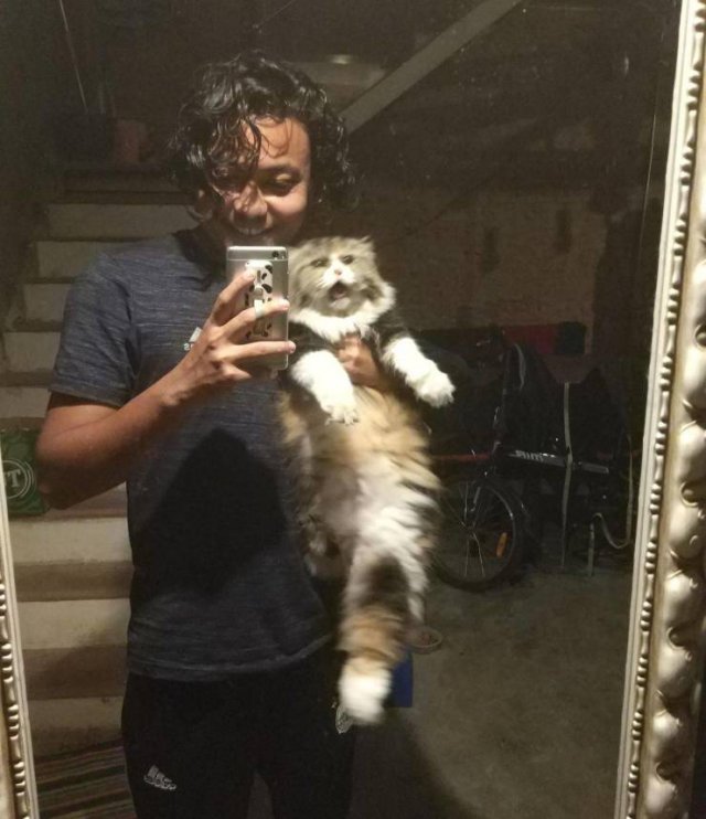 Acid Picdump. Part 2 (97 pics)
