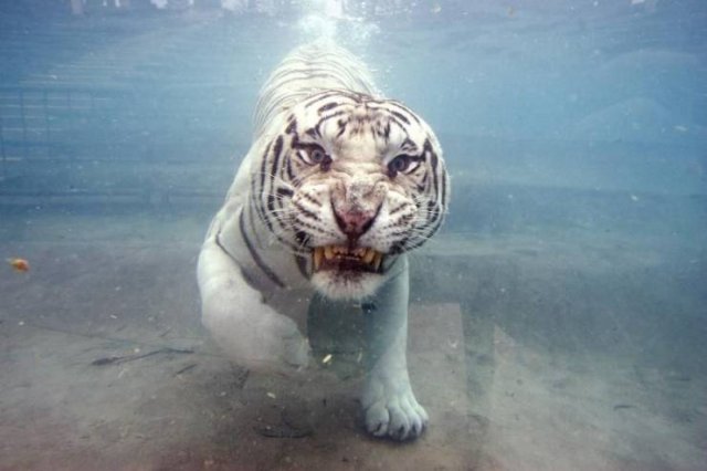 Acid Picdump. Part 2 (97 pics)