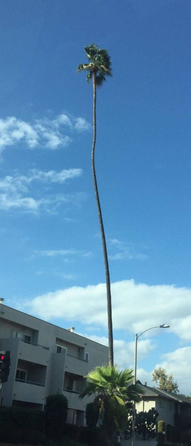 Acid Picdump. Part 2 (97 pics)