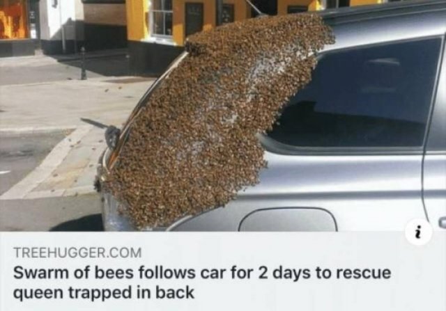 Acid Picdump. Part 2 (97 pics)