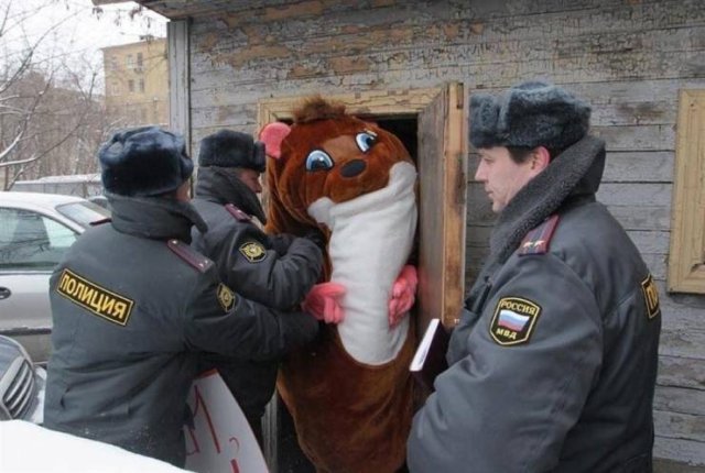 Acid Picdump. Part 2 (97 pics)