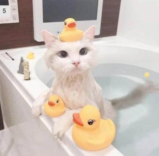Acid Picdump. Part 2 (97 pics)