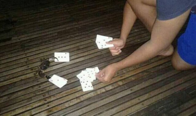 Acid Picdump. Part 2 (97 pics)