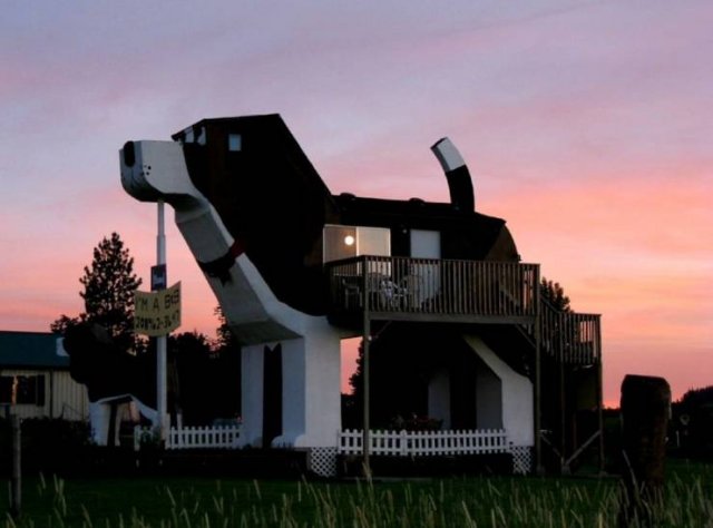 Acid Picdump. Part 2 (97 pics)