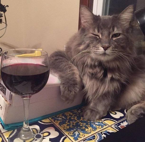 Acid Picdump. Part 2 (97 pics)