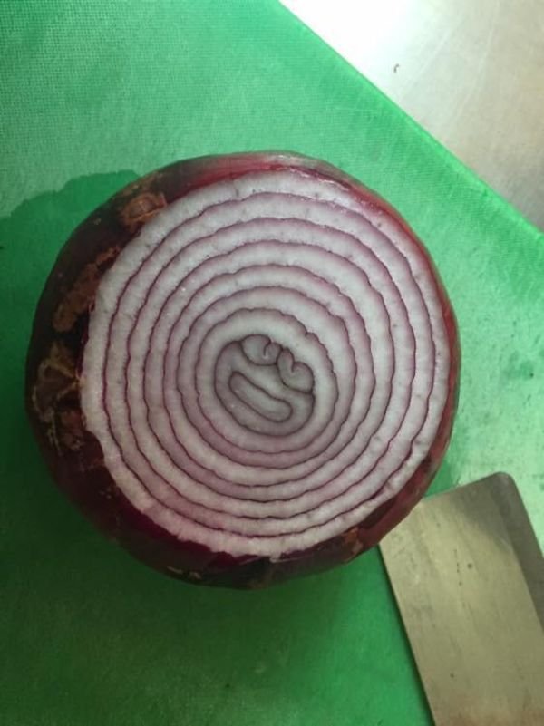 So Satisfying (24 pics)