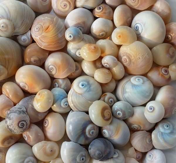 So Satisfying (24 pics)