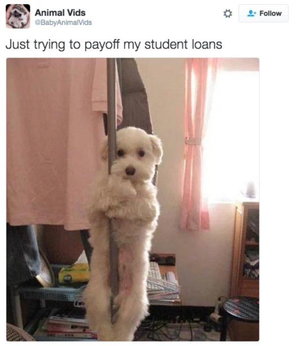 Student Loan Tweets (27 pics)