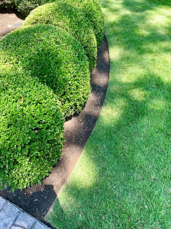 So Satisfying (24 pics)