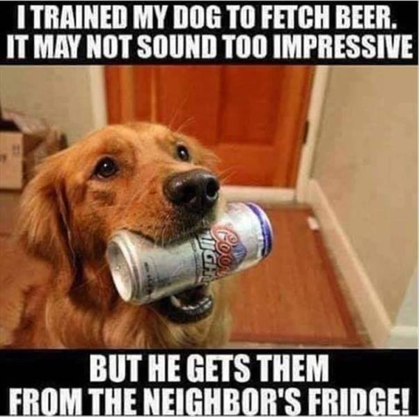 Acid Picdump. Part 2 (102 pics)