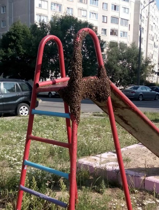 Acid Picdump. Part 2 (102 pics)