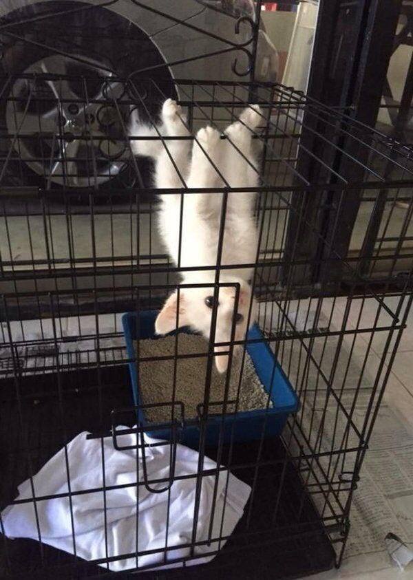 Acid Picdump. Part 1 (98 pics)