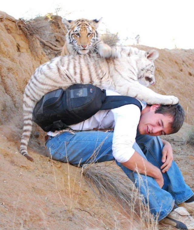 Acid Picdump. Part 1 (98 pics)