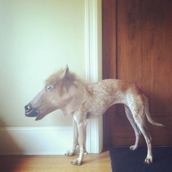 Acid Picdump. Part 1 (98 pics)