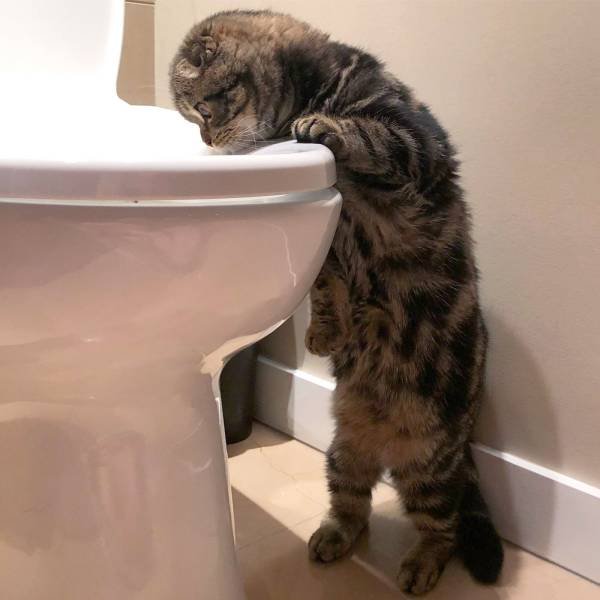 Acid Picdump. Part 1 (98 pics)
