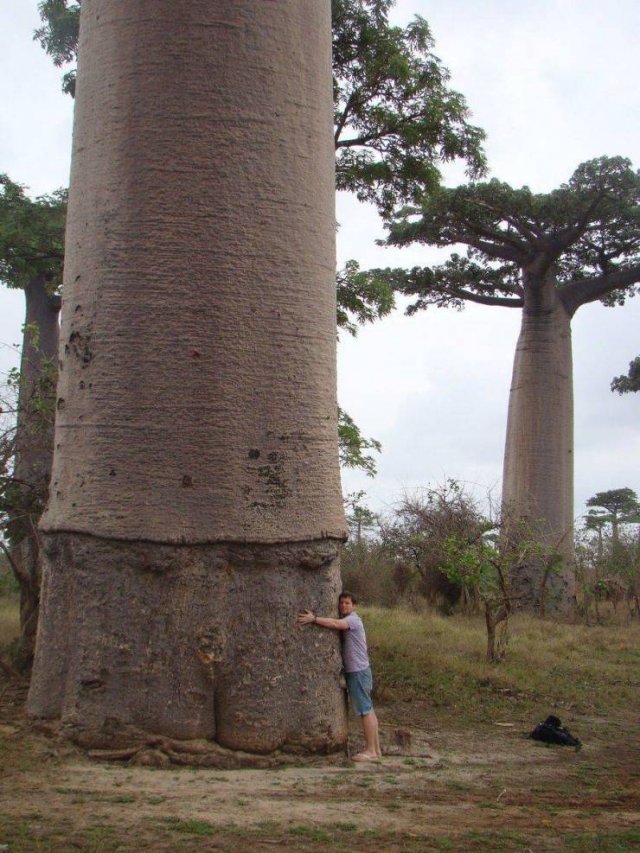 Acid Picdump. Part 1 (98 pics)