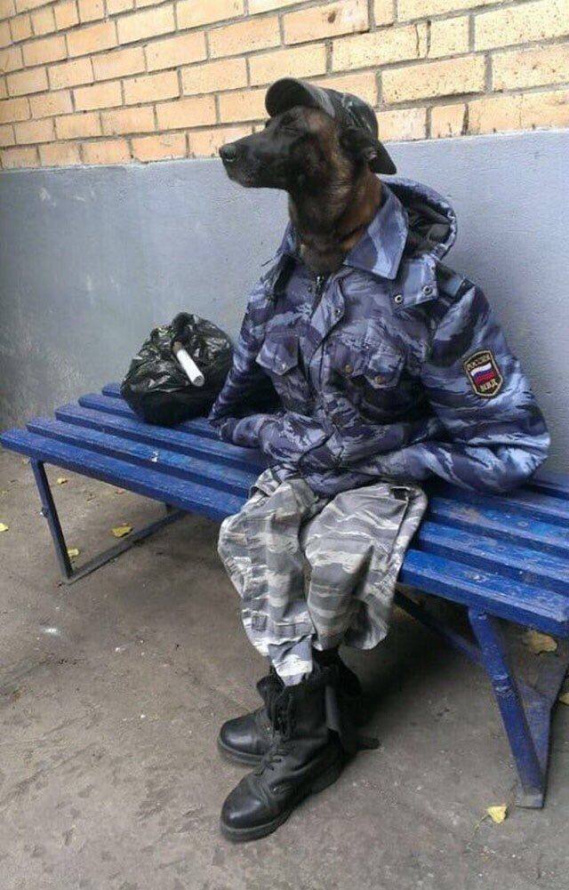 Acid Picdump. Part 1 (98 pics)