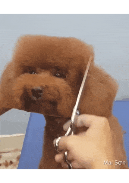 Acid Gifdump, July 31 (25 pics)
