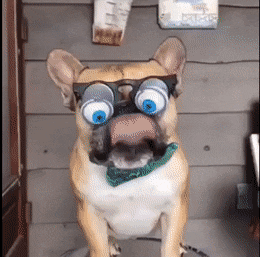 Acid Gifdump, July 31 (25 pics)