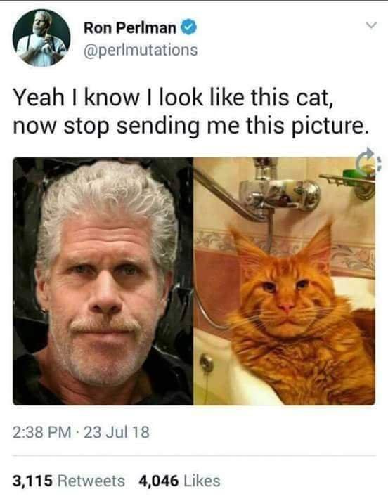 Stop Sending Me This (21 pics)