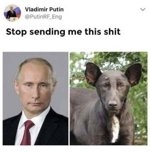 Stop Sending Me This (21 pics)