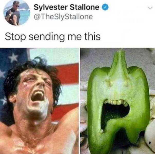 Stop Sending Me This (21 pics)