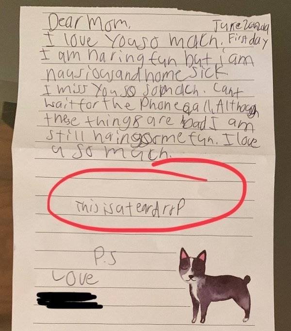 When Kids Are Really Unhappy With Their Camp (18 pics)