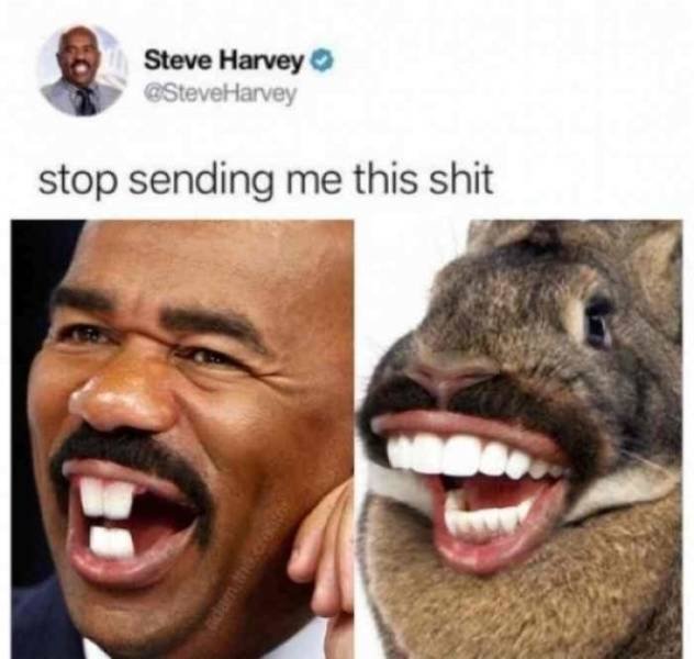 Stop Sending Me This (21 pics)