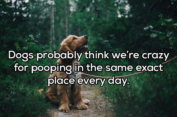 Shower Thoughts (20 pics)