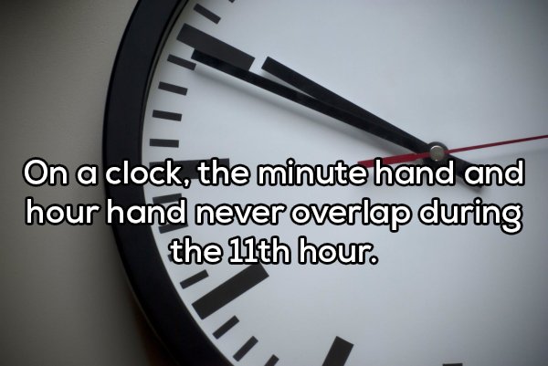 Shower Thoughts (20 pics)