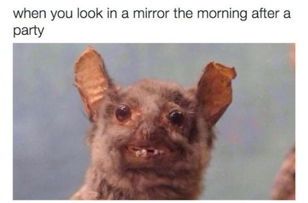 The Truth As Only The Internet Can Articulate (37 pics)