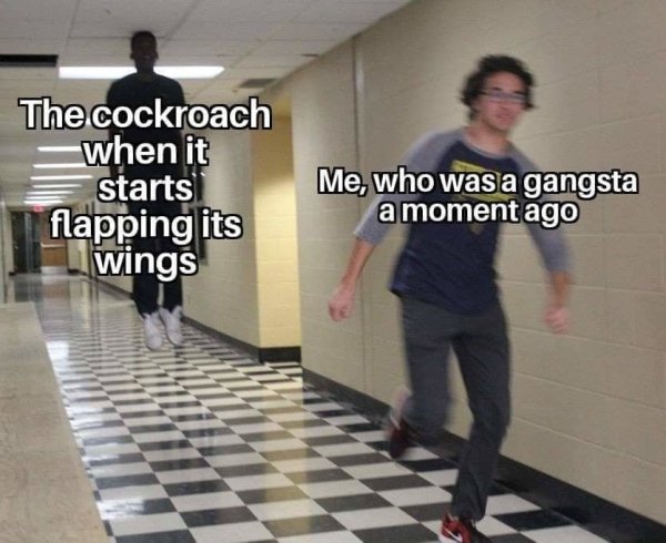 The Truth As Only The Internet Can Articulate (37 pics)
