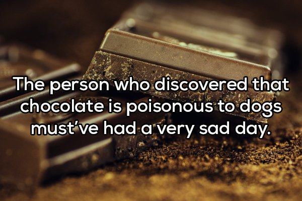 Shower Thoughts (20 pics)