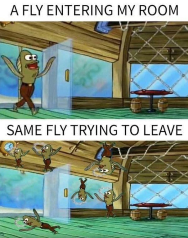 The Truth As Only The Internet Can Articulate (37 pics)
