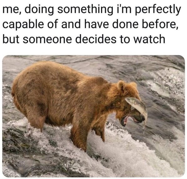 The Truth As Only The Internet Can Articulate (37 pics)