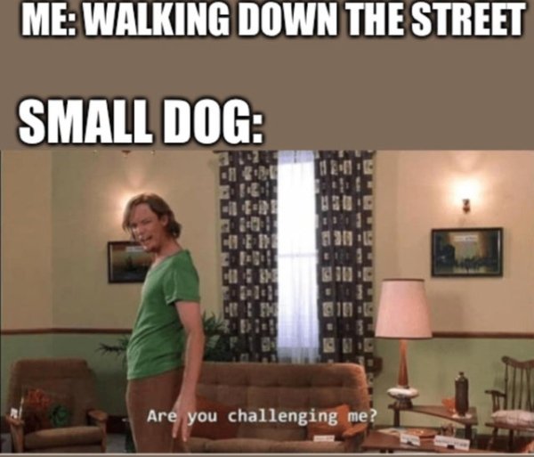 The Truth As Only The Internet Can Articulate (37 pics)