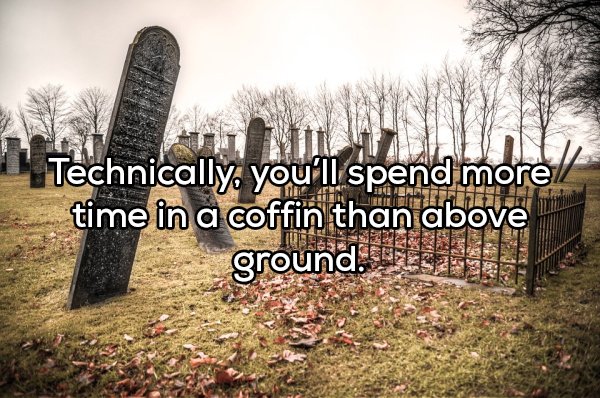 Shower Thoughts (20 pics)