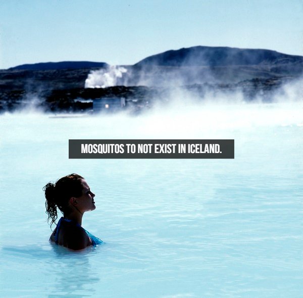 Welcome To Iceland (20 pics)