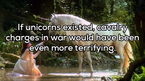 Shower Thoughts (20 pics)
