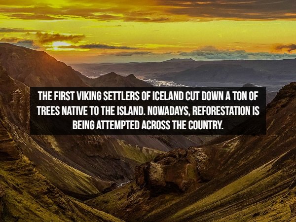 Welcome To Iceland (20 pics)