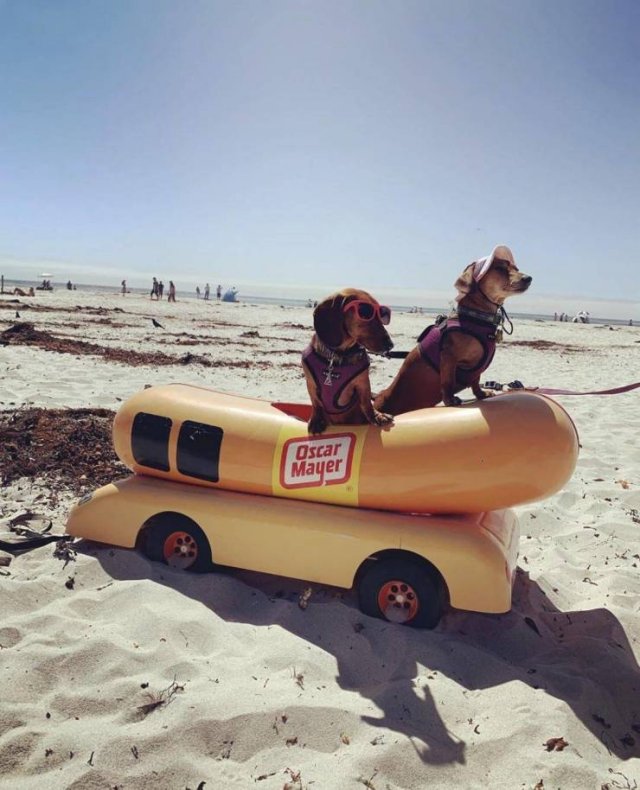 Acid Picdump. Part 2 (96 pics)