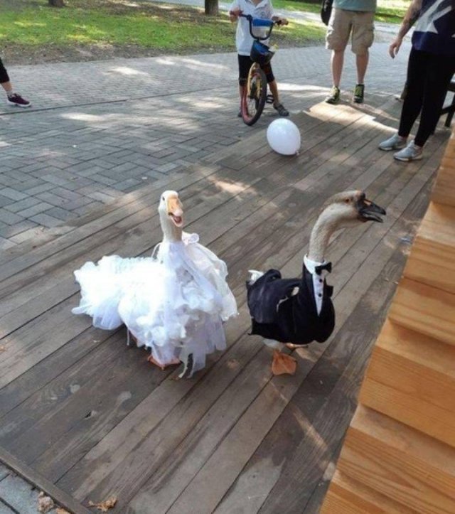 Acid Picdump. Part 2 (96 pics)