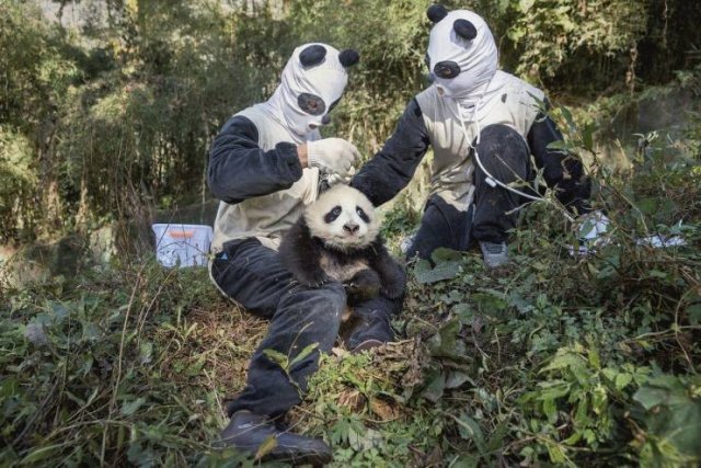 Acid Picdump. Part 2 (96 pics)